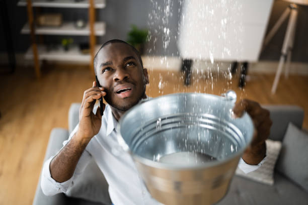 Best Carpet water damage restoration  in Las Lomas, CA