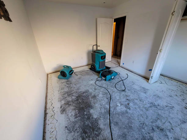 Best Professional water damage repair  in Las Lomas, CA