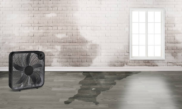 Best Flooded house restoration  in Las Lomas, CA