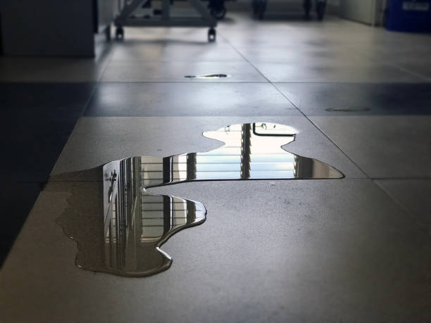 Best 24-hour water damage restoration  in Las Lomas, CA