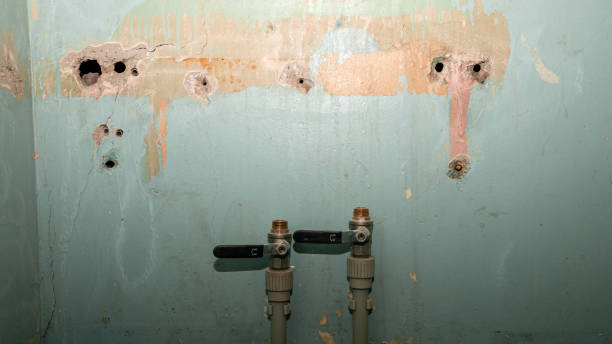 Best Water damage contractors near me  in Las Lomas, CA