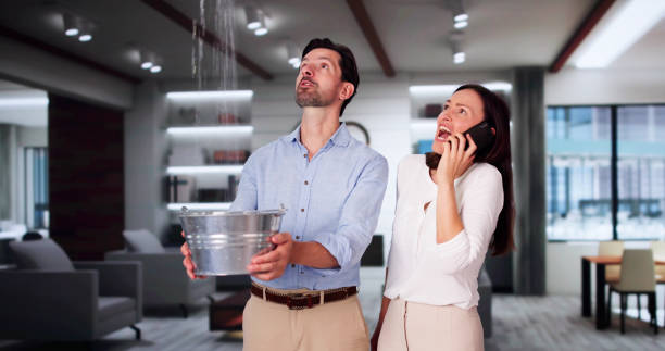 Best Local water damage restoration  in Las Lomas, CA