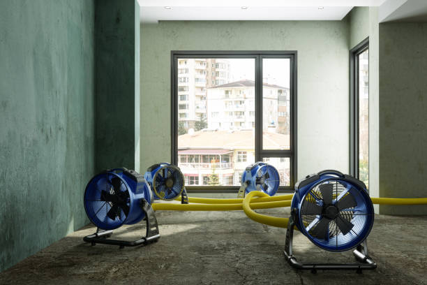 Best Flood restoration services  in Las Lomas, CA