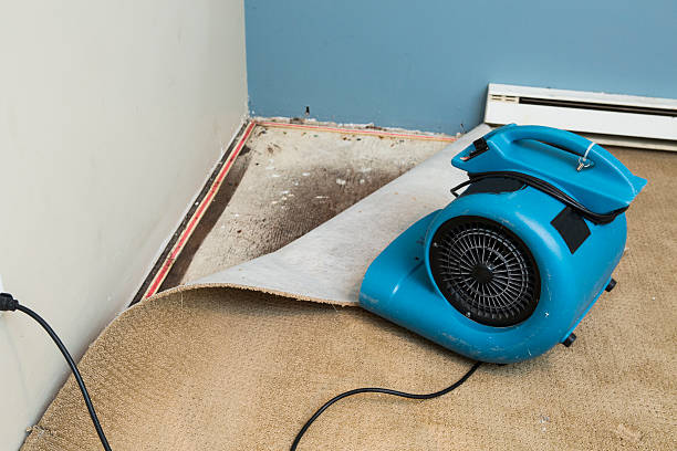 Best 24-hour water damage restoration  in Las Lomas, CA