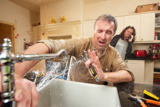 Best Water damage restoration mold remediation  in Las Lomas, CA